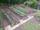 Garten 2016
