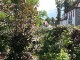 Garten 2016