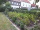 Garten 2016