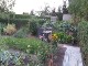 Garten 2016