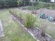 Garten 2016