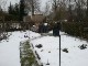 Garten 2017