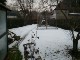 Garten 2017