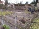 Garten 2017