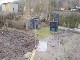 Garten 2017