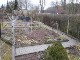 Garten 2017