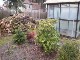 Garten 2017