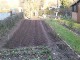 Garten 2017