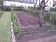Garten 2017