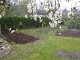 Garten 2017