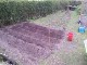 Garten 2017