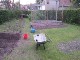 Garten 2017