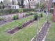 Garten 2017