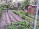 Garten 2017