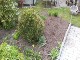Garten 2017