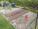 Garten 2017