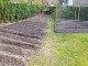 Garten 2017