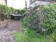 Garten 2017