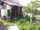 Garten 2017