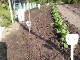 Garten 2017