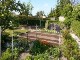 Garten 2017