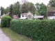 Garten 2017