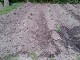 Garten 2017