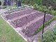 Garten 2017