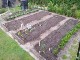 Garten 2017
