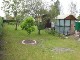 Garten 2017