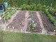 Garten 2017