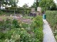 Garten 2017