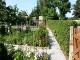 Garten 2017