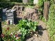 Garten 2017