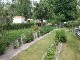 Garten 2017