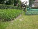 Garten 2017