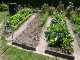 Garten 2017