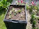 Garten 2017
