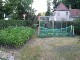 Garten 2017