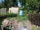 Garten 2017