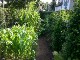 Garten 2017