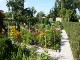 Garten 2017