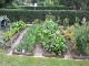Garten 2017
