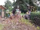 Garten 2017