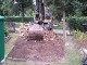 Garten 2017