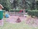 Garten 2017