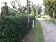 Garten 2017
