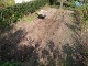 Garten 2017