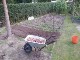 Garten 2017