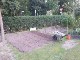 Garten 2017